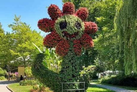 Tagesausflug zur Insel Mainau, 28.06.2025