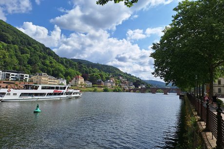 Heidelberg am Neckar