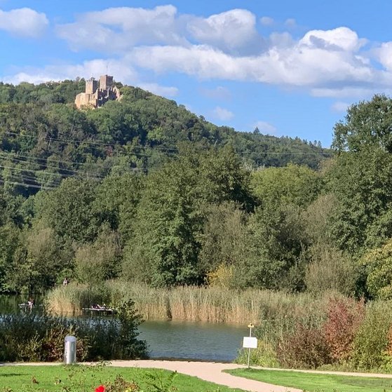 Grüttpark Lörrach, ein Blick auf die Burg Rötteln