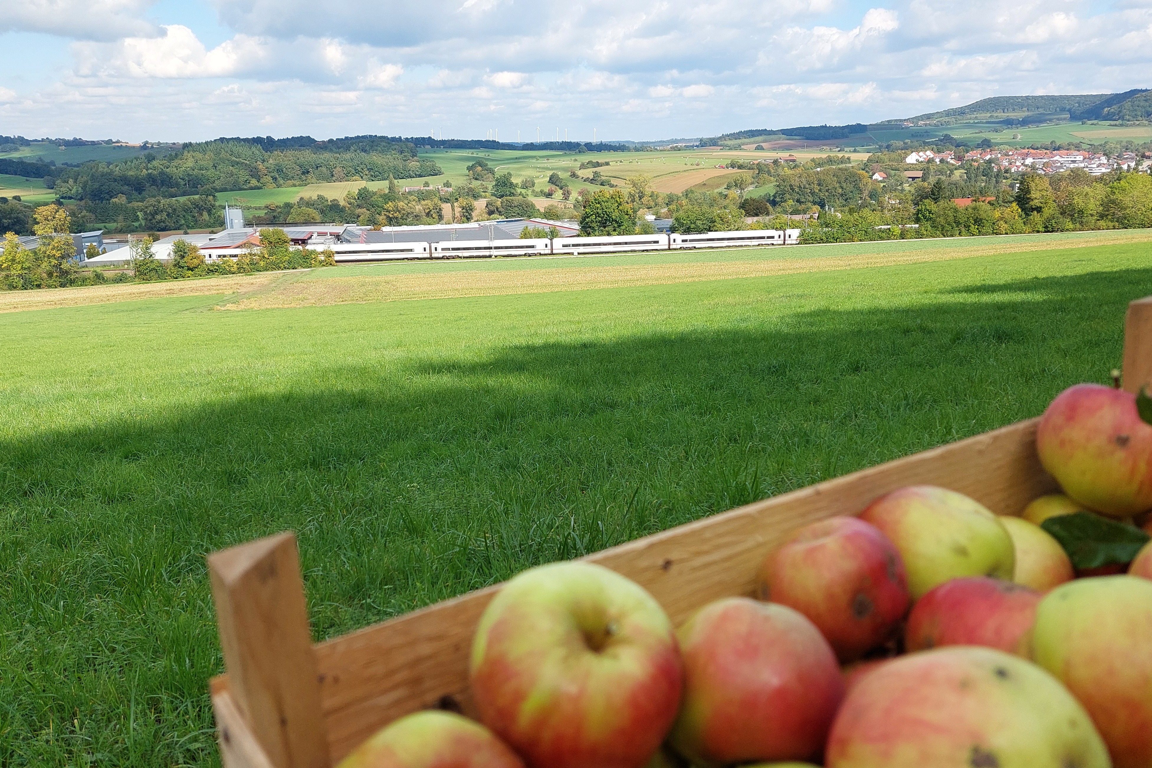 Herbst 2025
