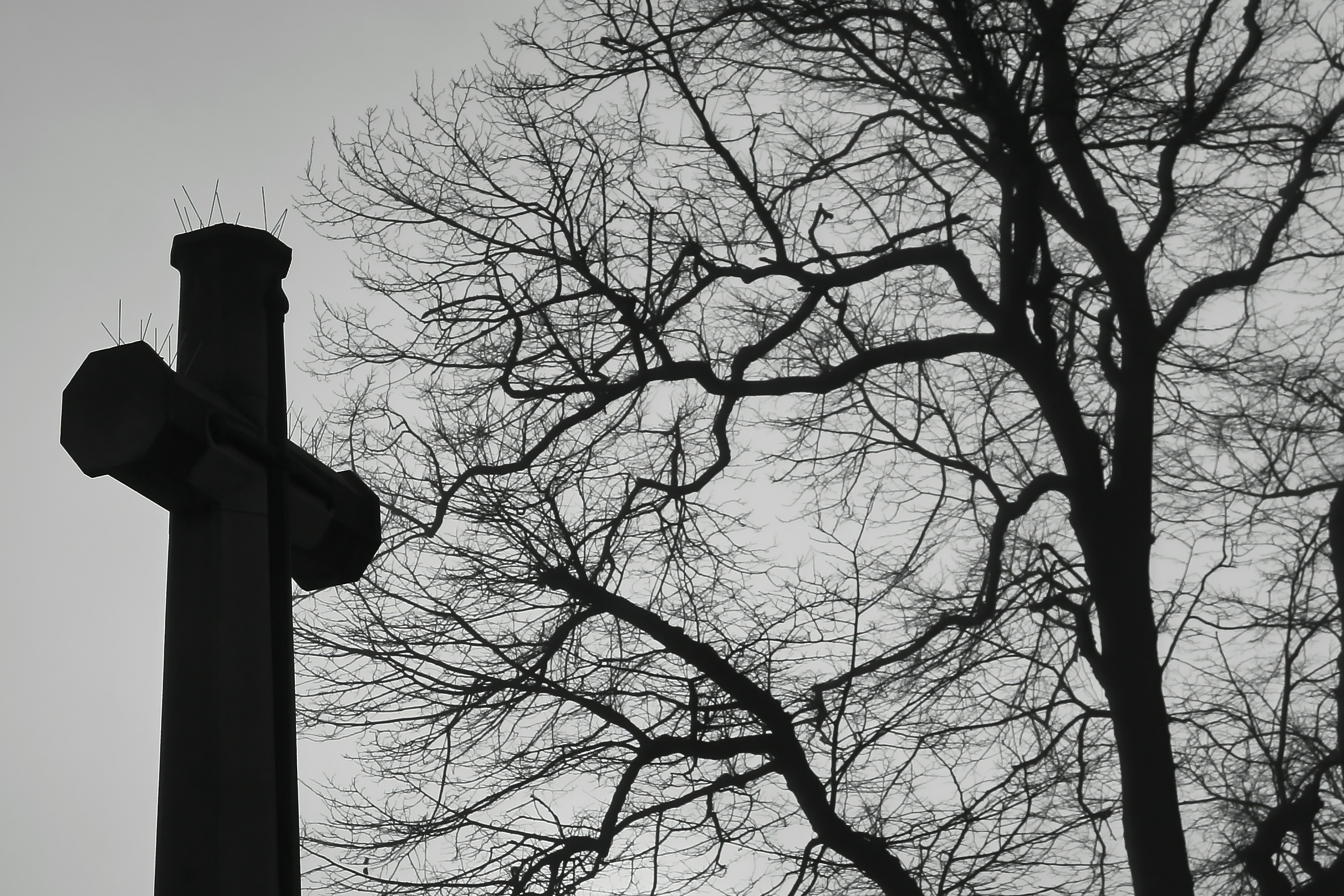 Gedenkkreuz und Baum auf Friedhof