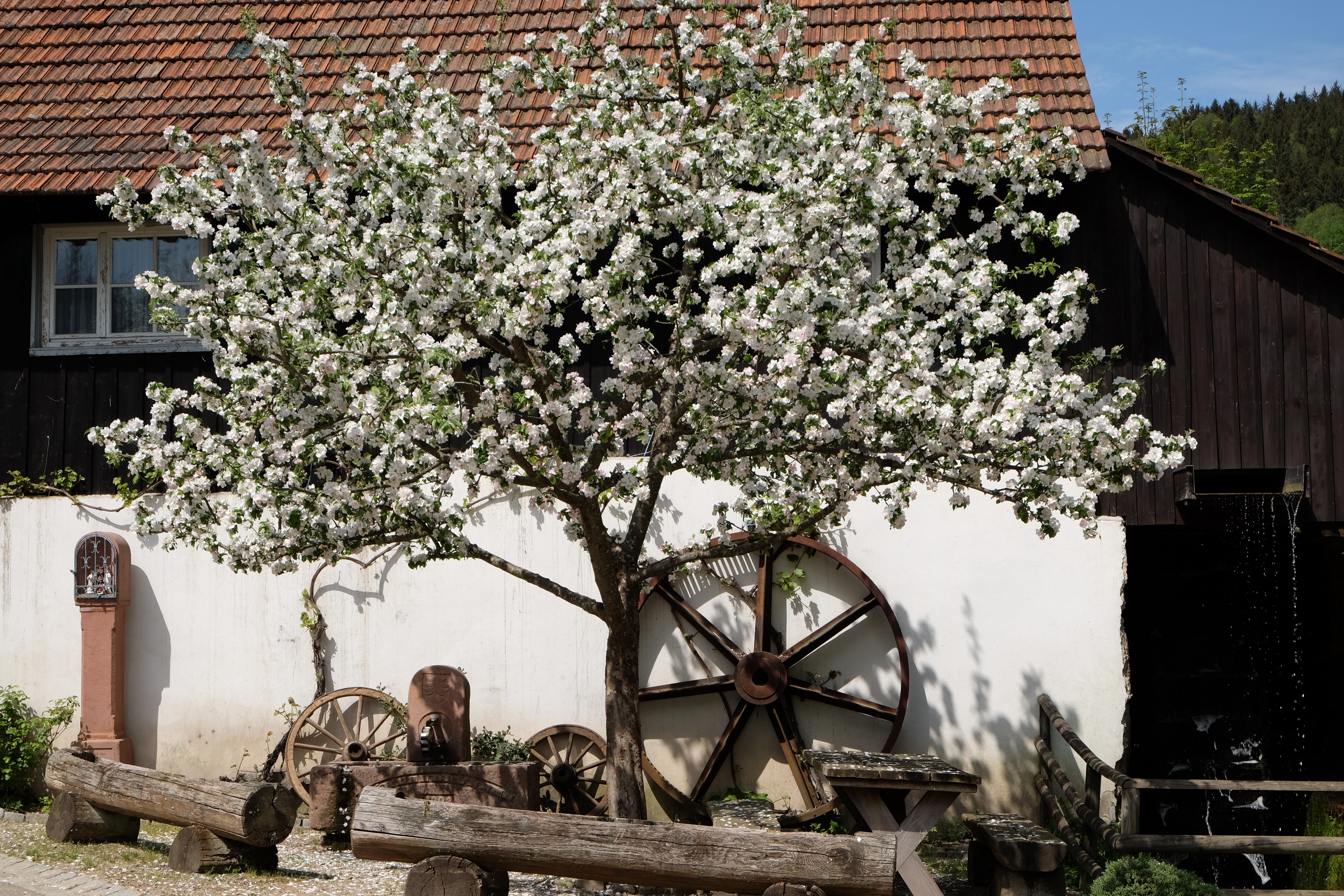 Altes Bauernhaus