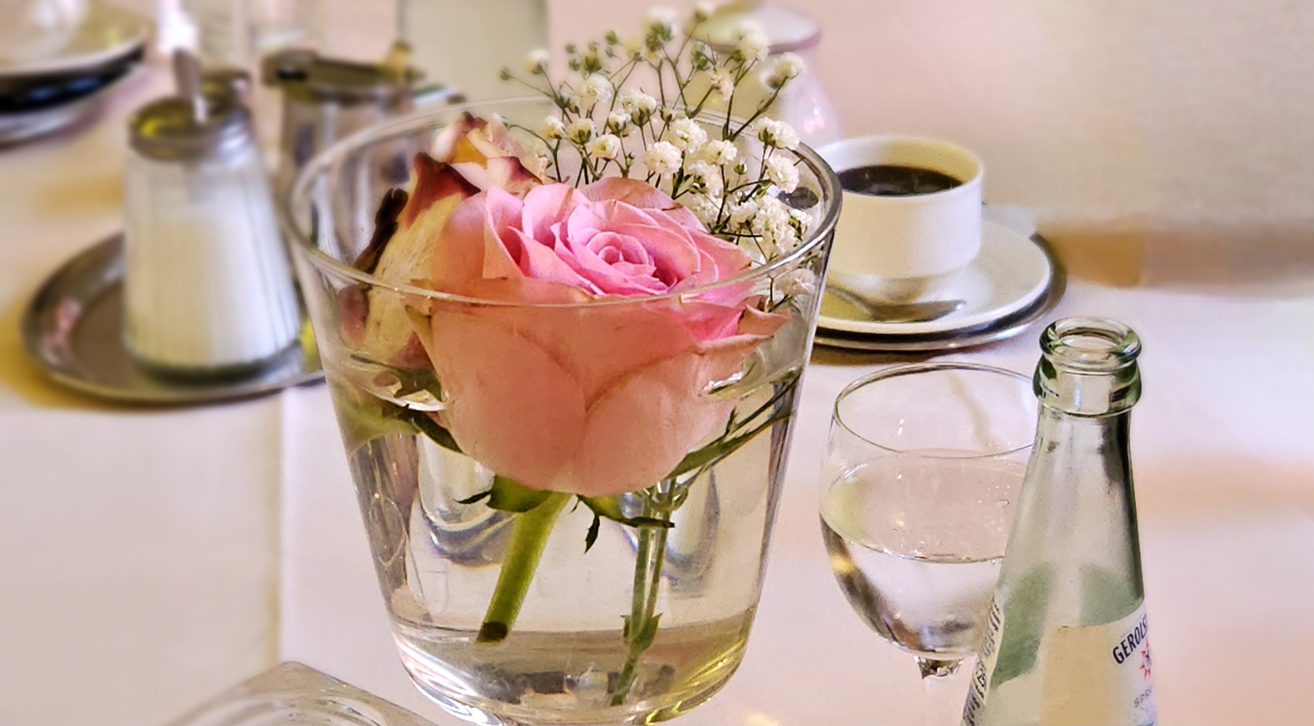 Rose in Vase, Wasser, Glas und Kaffeetasse