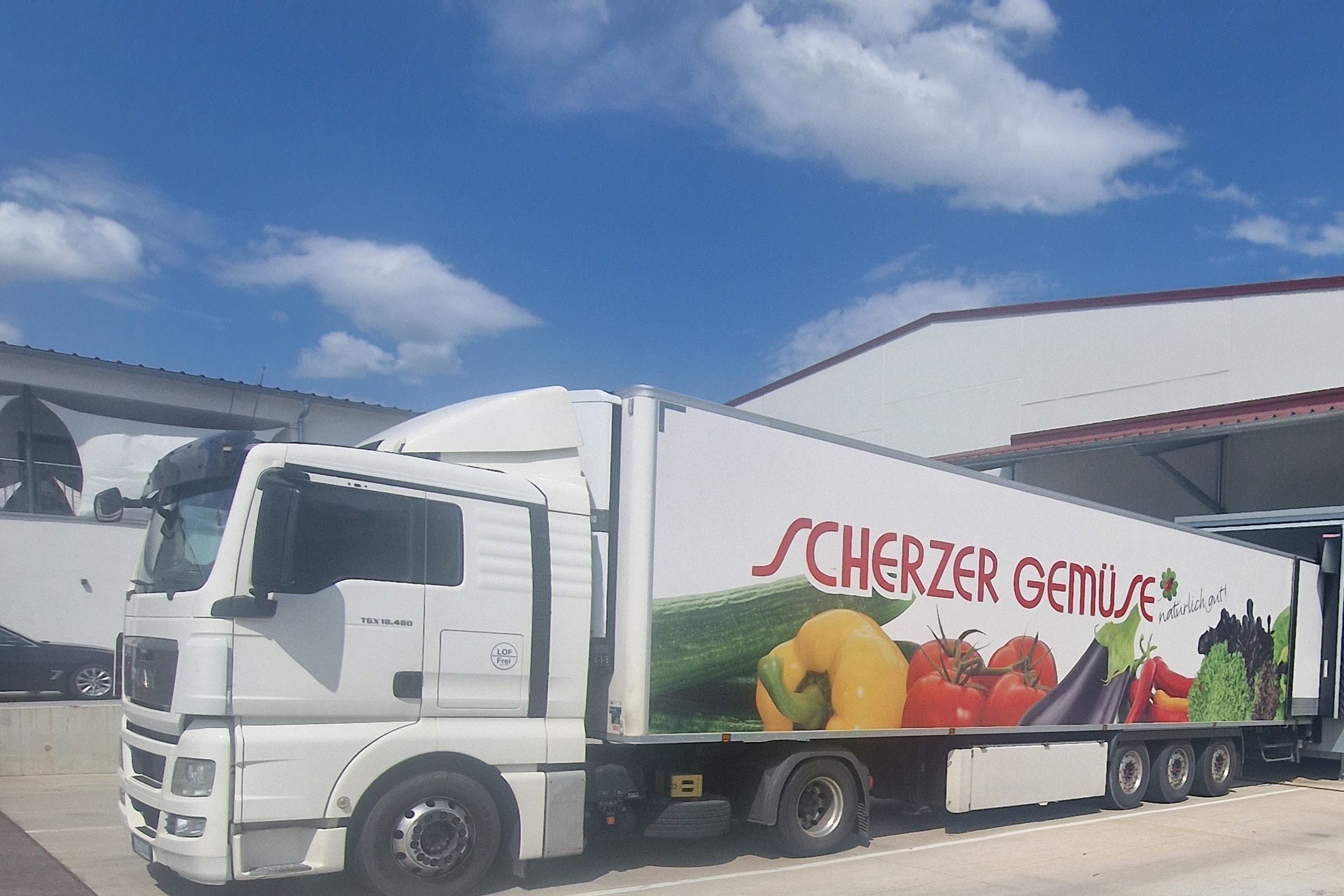 Scherzer Gemüse Gemüse