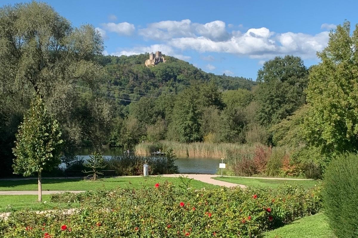 Rosengarten im Gr&uuml;ttpark mit Blick zum R&ouml;ttler Schlo&szlig;