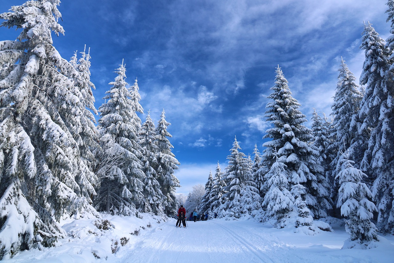 Winterfest