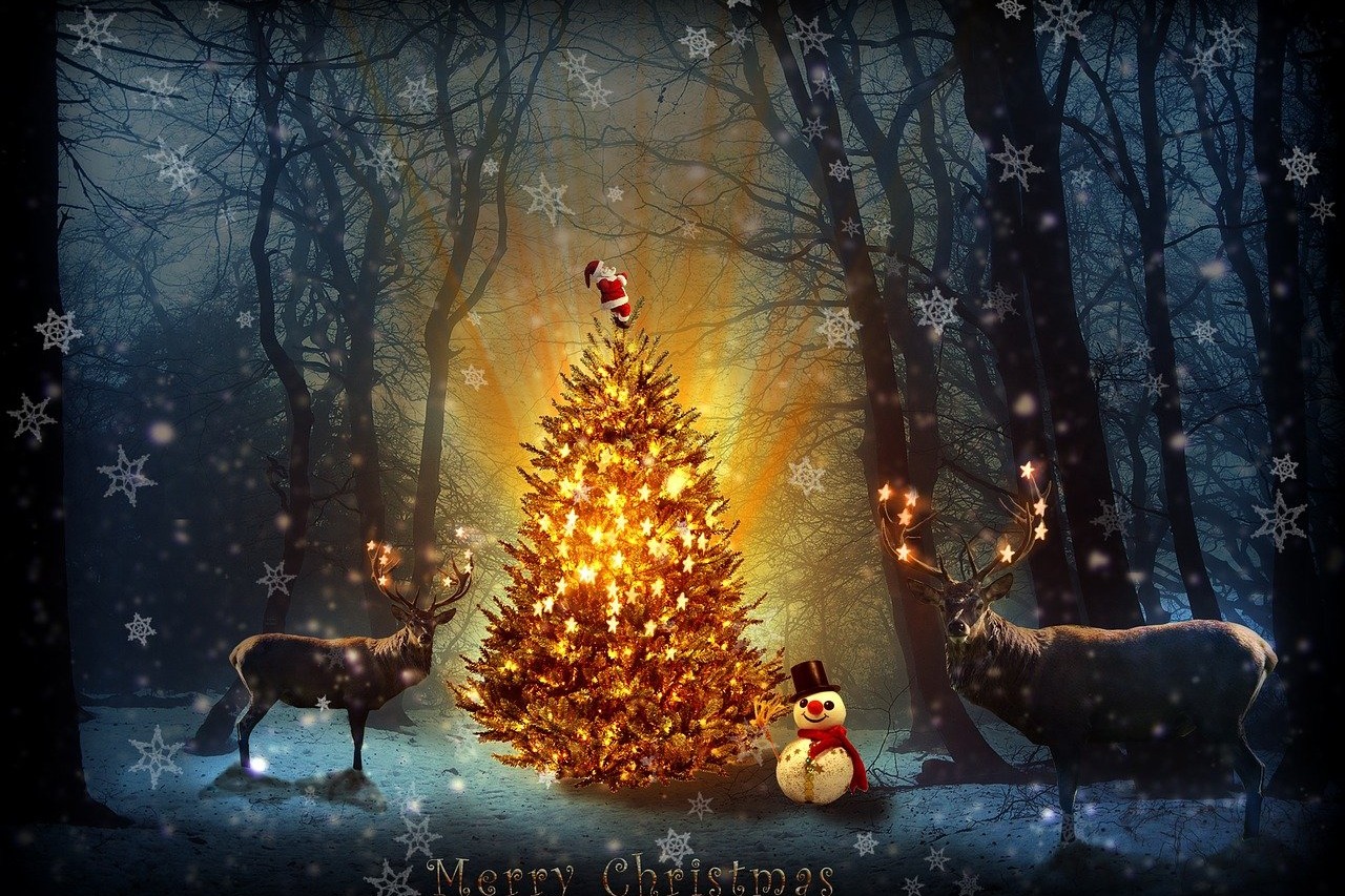 Weihnachtsfeier 13.12.2025 Weihnachtsfeier 13.12.2025
