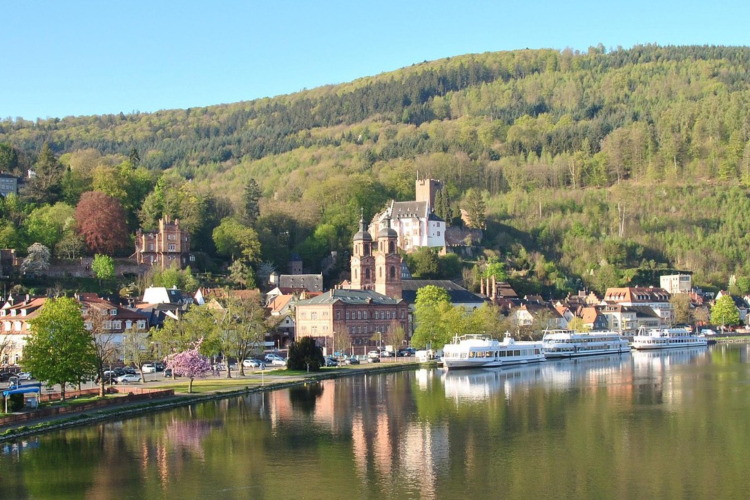Blick vom Main auf Miltenberg. Ausflugschiffe, Kirche und Burg im Hintergund