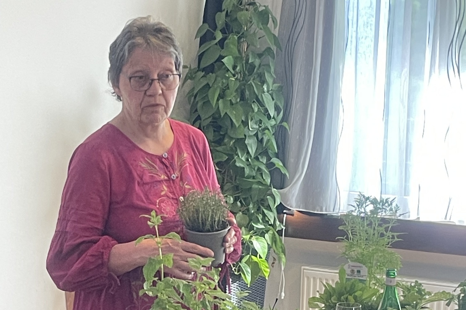 Eine Frau mit einer roten Bluse steht an einem Tisch voller Kr&auml;uterpflanzen.