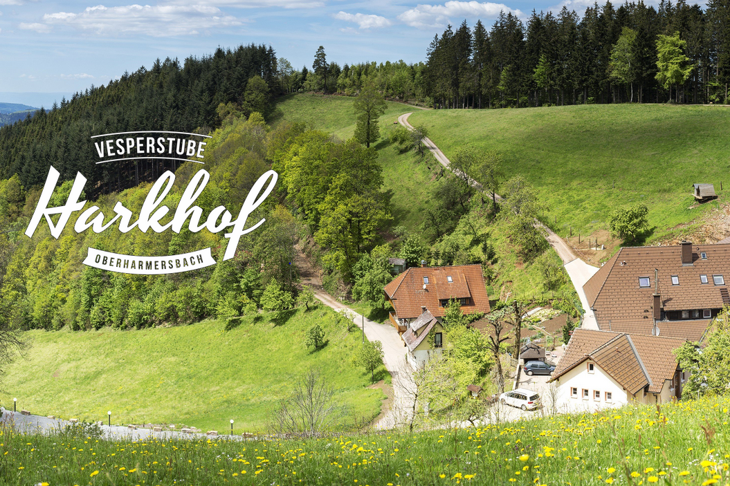 Vesperstube Hark Blick auf Vesperstube Hark und Landschaft mit Wäldern und Bergen
