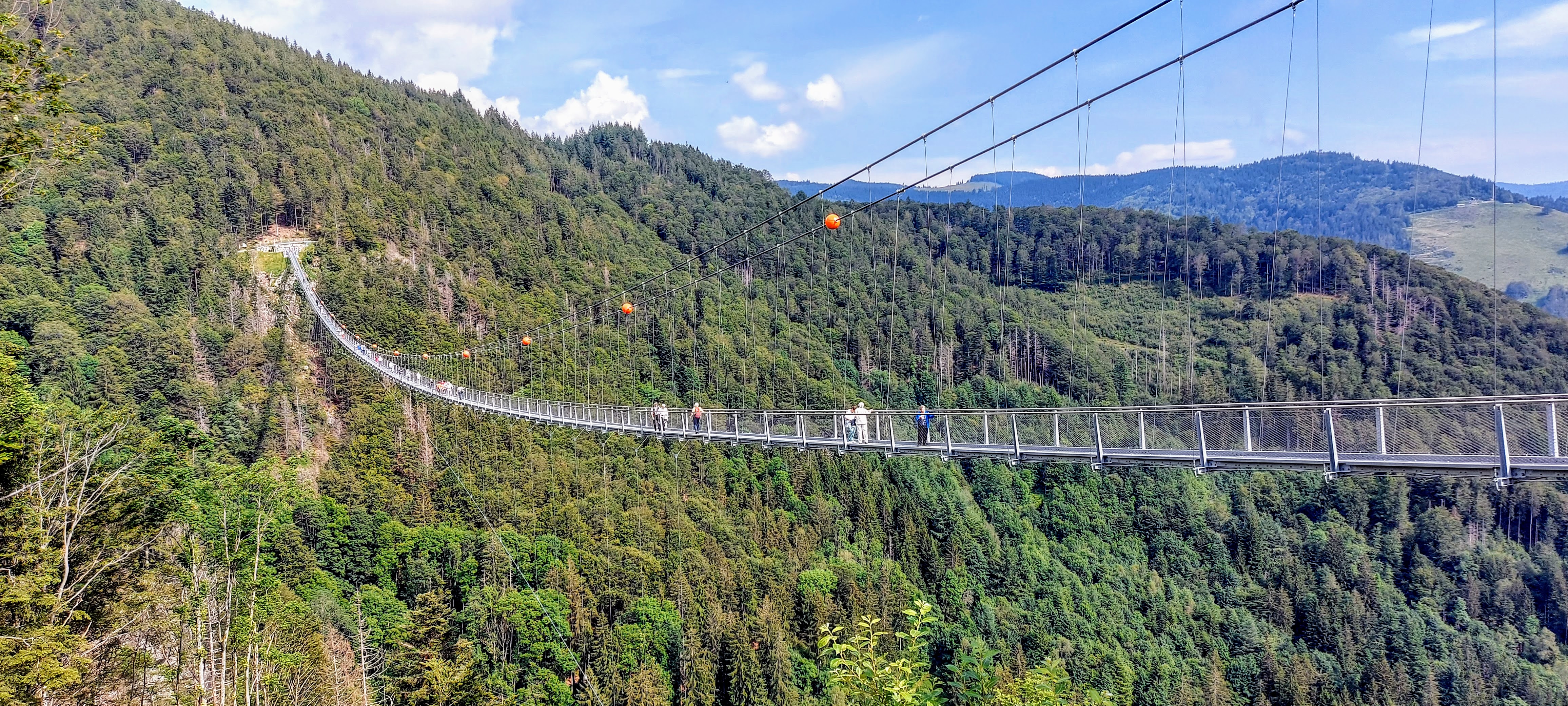 Todtnauer Hängebrücke