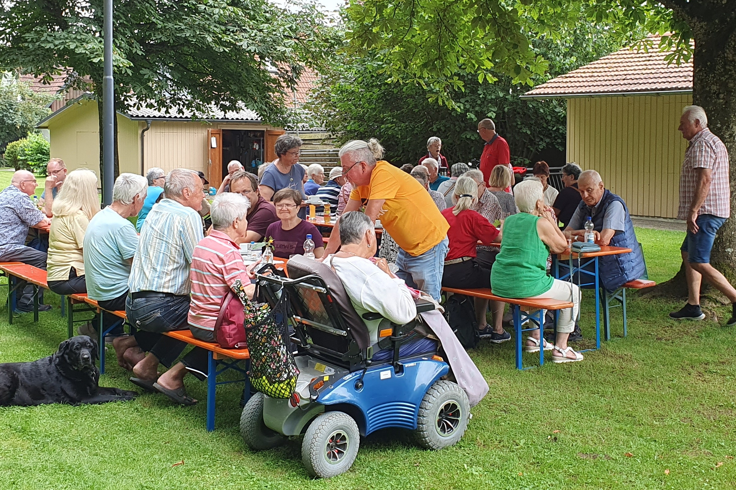 Sommerfest unter der Kastanie Sommerfest am Waldrand