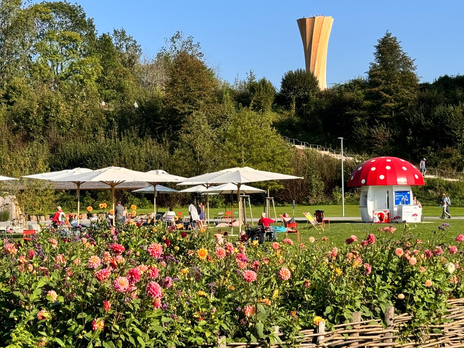 Herbstausfahrt "Herbstzauber"