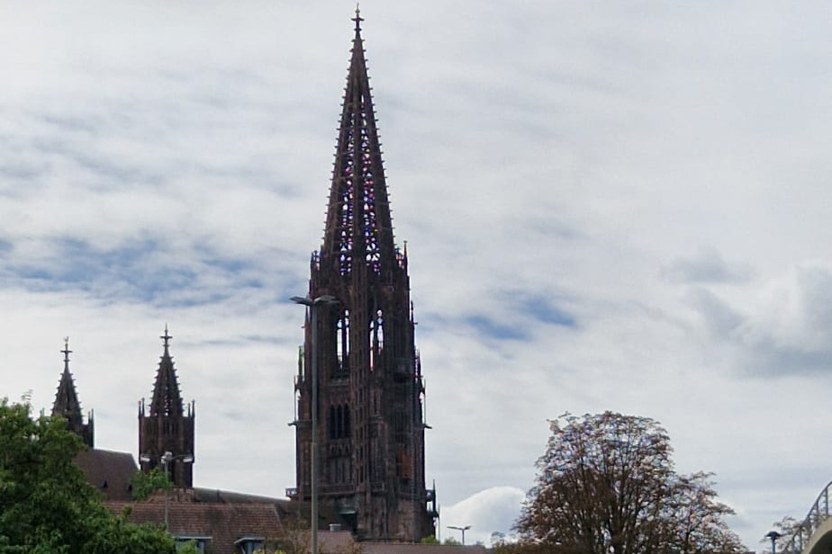 Freiburger Münster