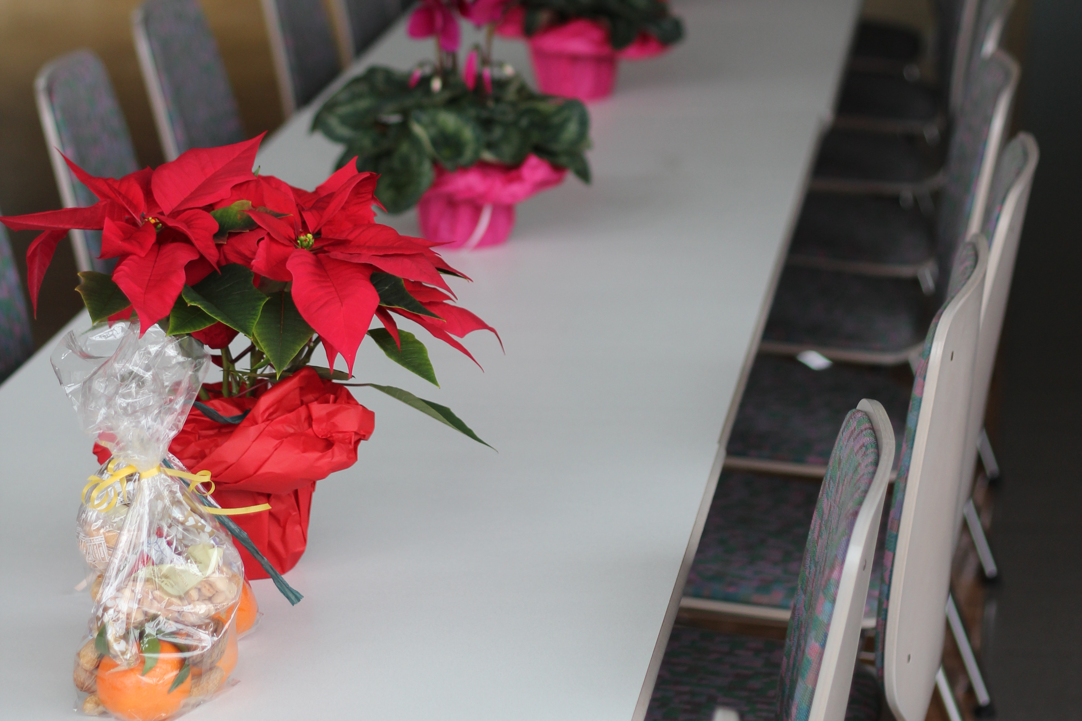 weihnachtlicher Tisch mit Weihnachtssternen und Geb&auml;ck