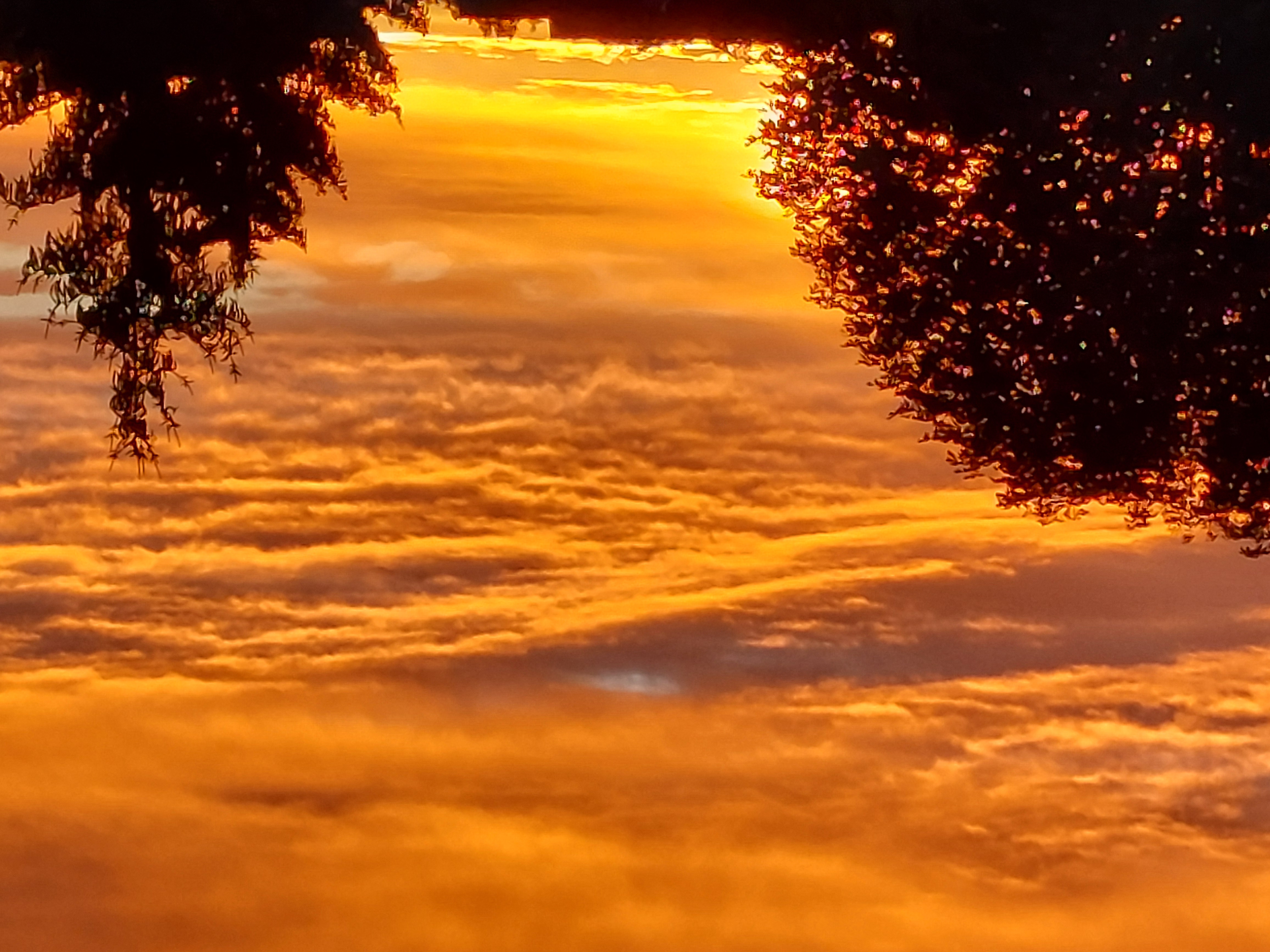 Ein leuchtend roter Montagmorgen