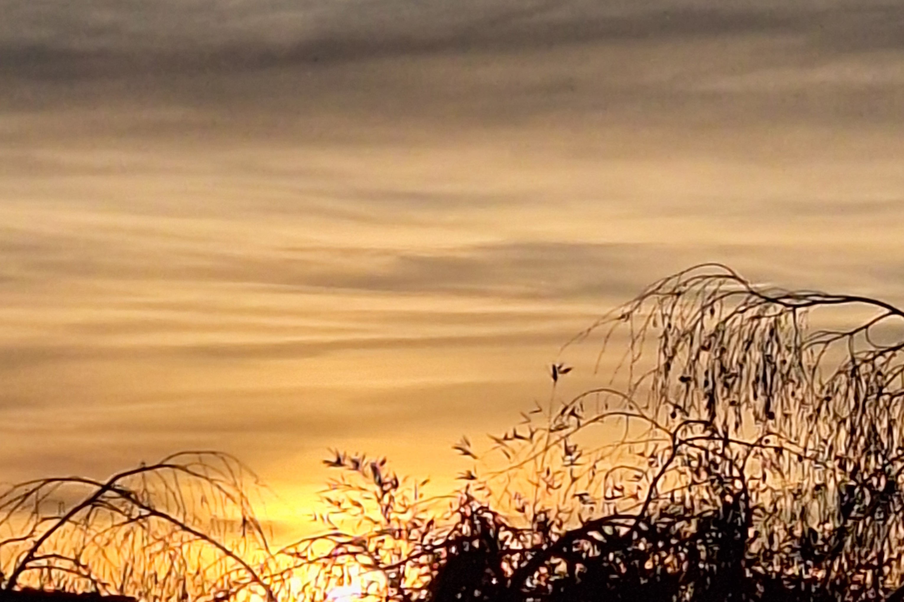 Ein bunter Abschied vom "alten Jahr"