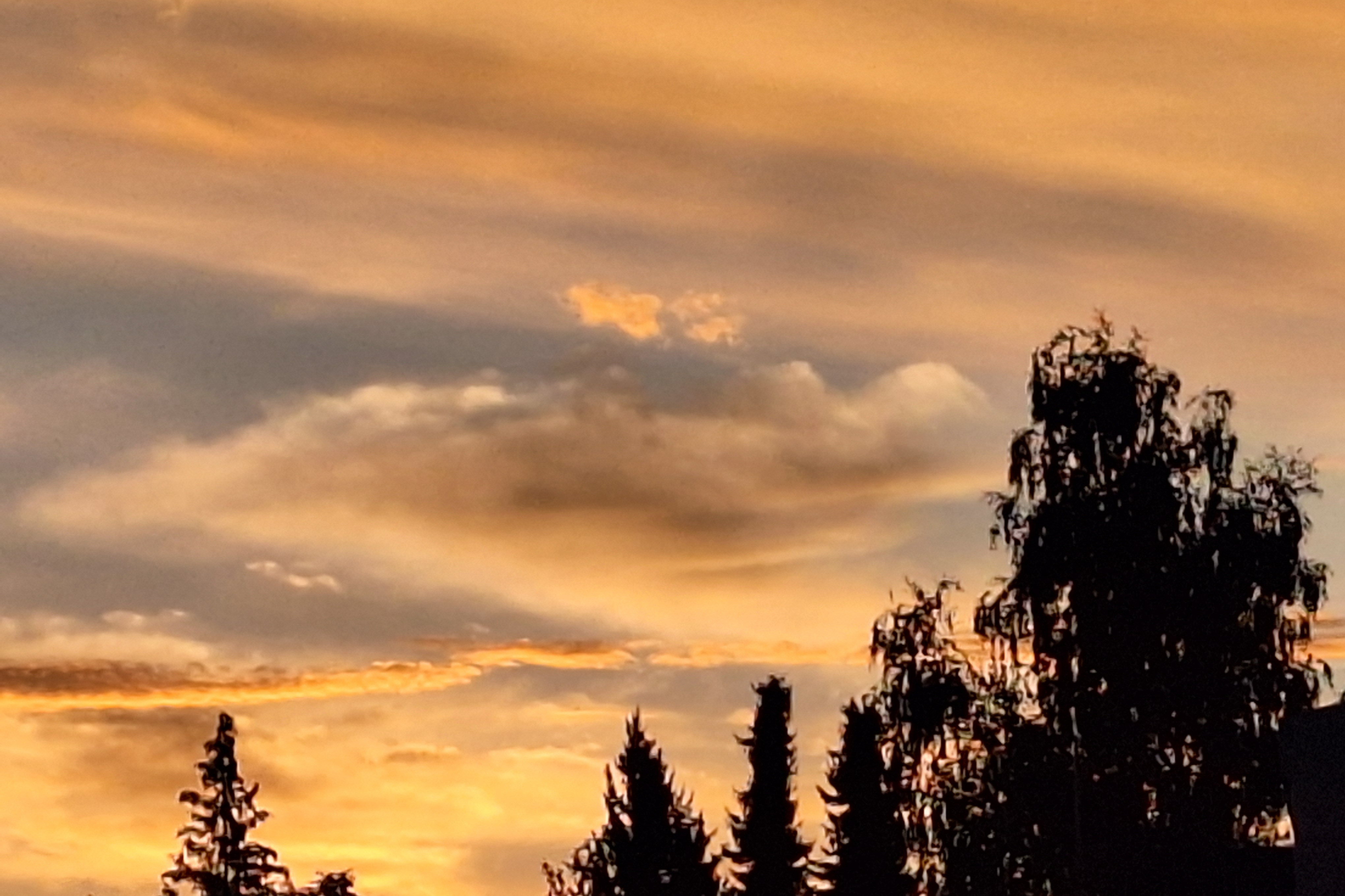 Ein bezauberndes Morgenrot