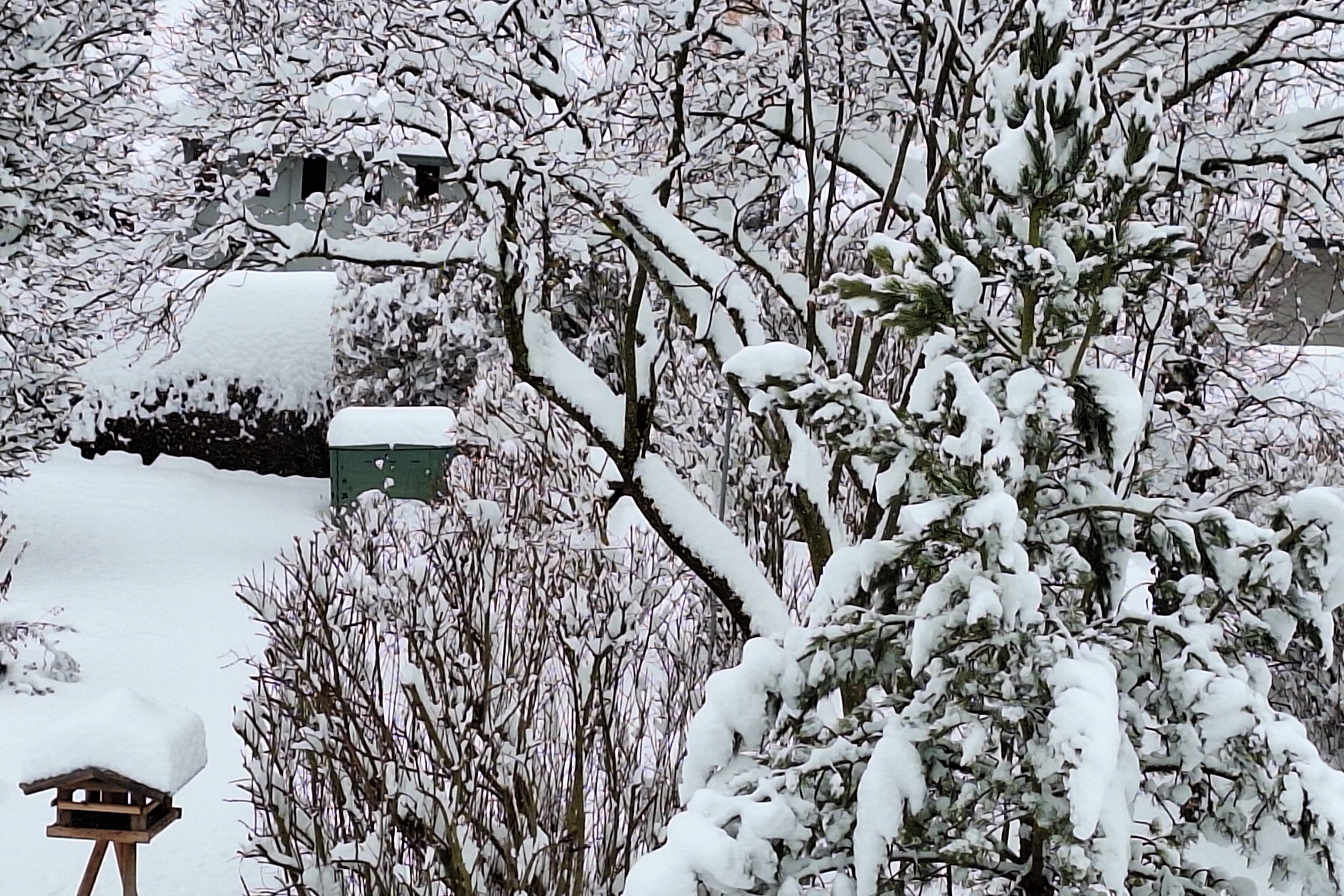 Mal wieder ein Winterm&auml;rchen im Garten