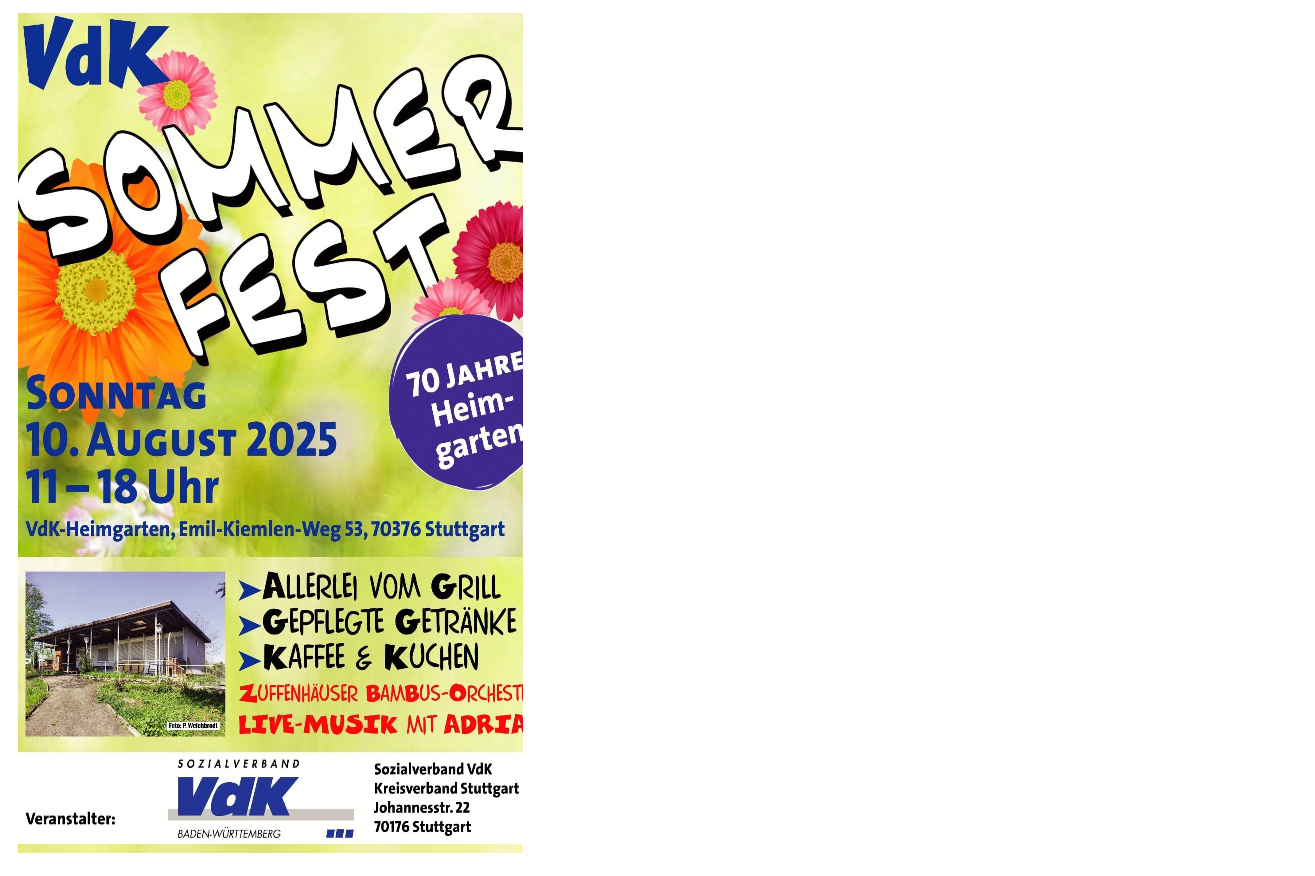 VdK Sommerfest 10.08.2025 Kreisverband Stuttgart