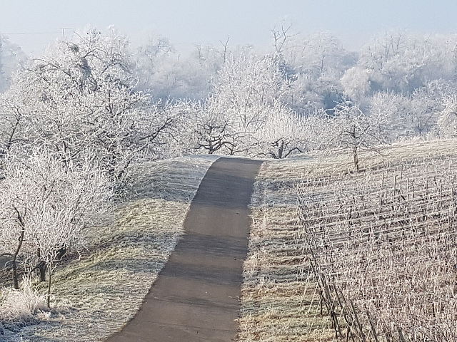 Winterimpression Winterimpression