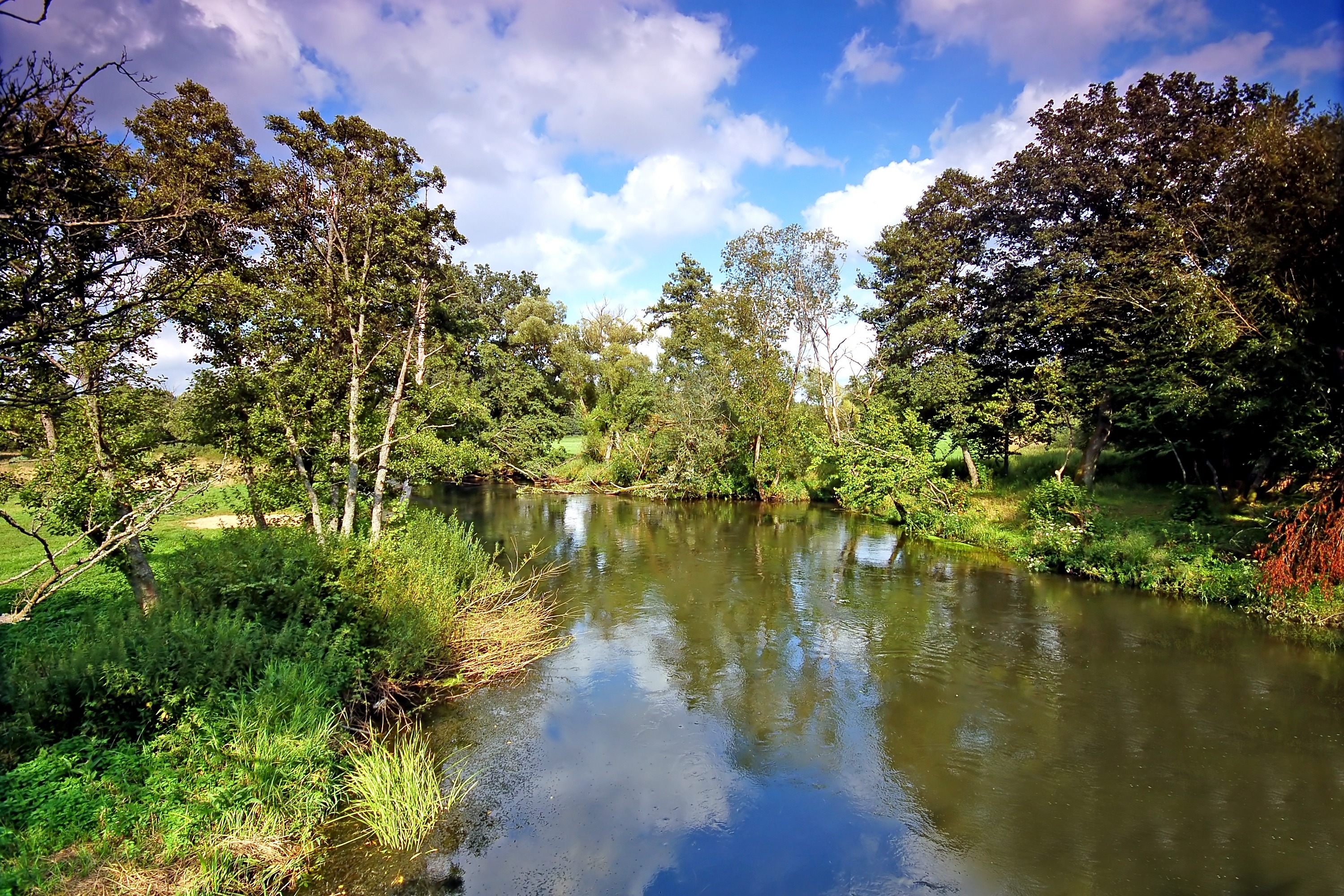 B&auml;ume Fluss