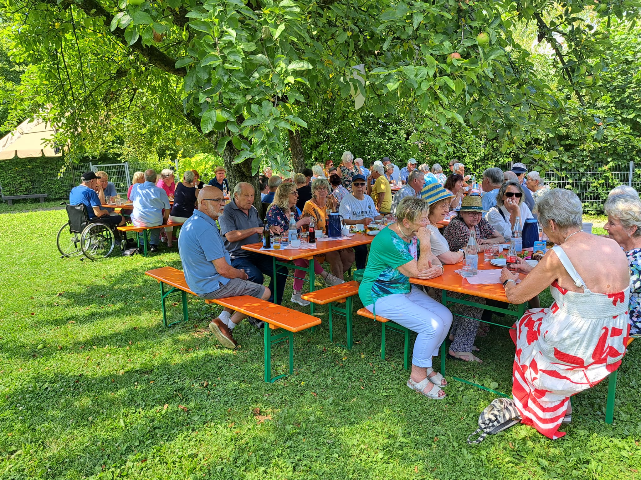 Grillnachmittag 2024 Grillnachmittag 2024