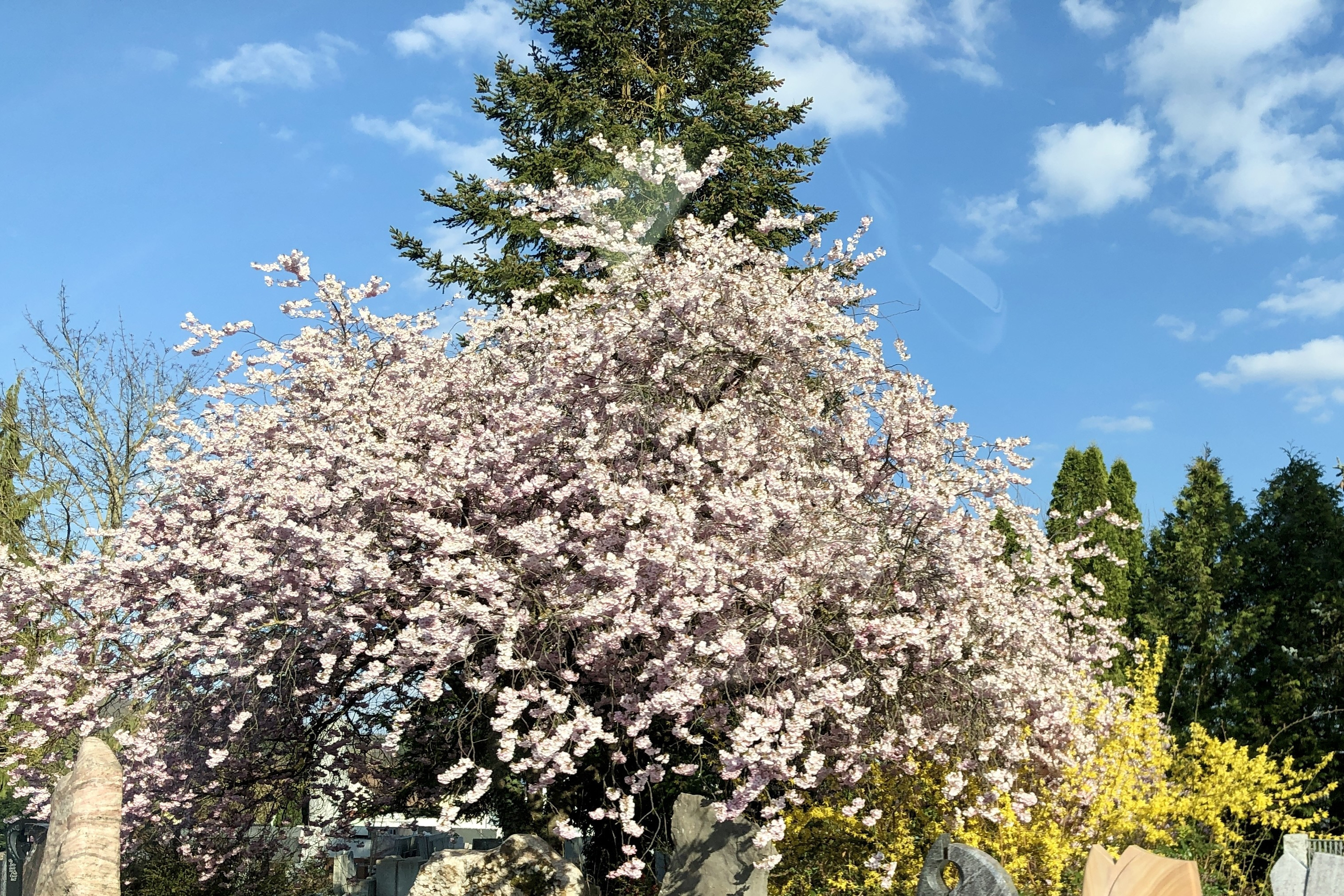 Frühling bei der Mitgliederversammlung Frühling bei der Mitgliederversammlung