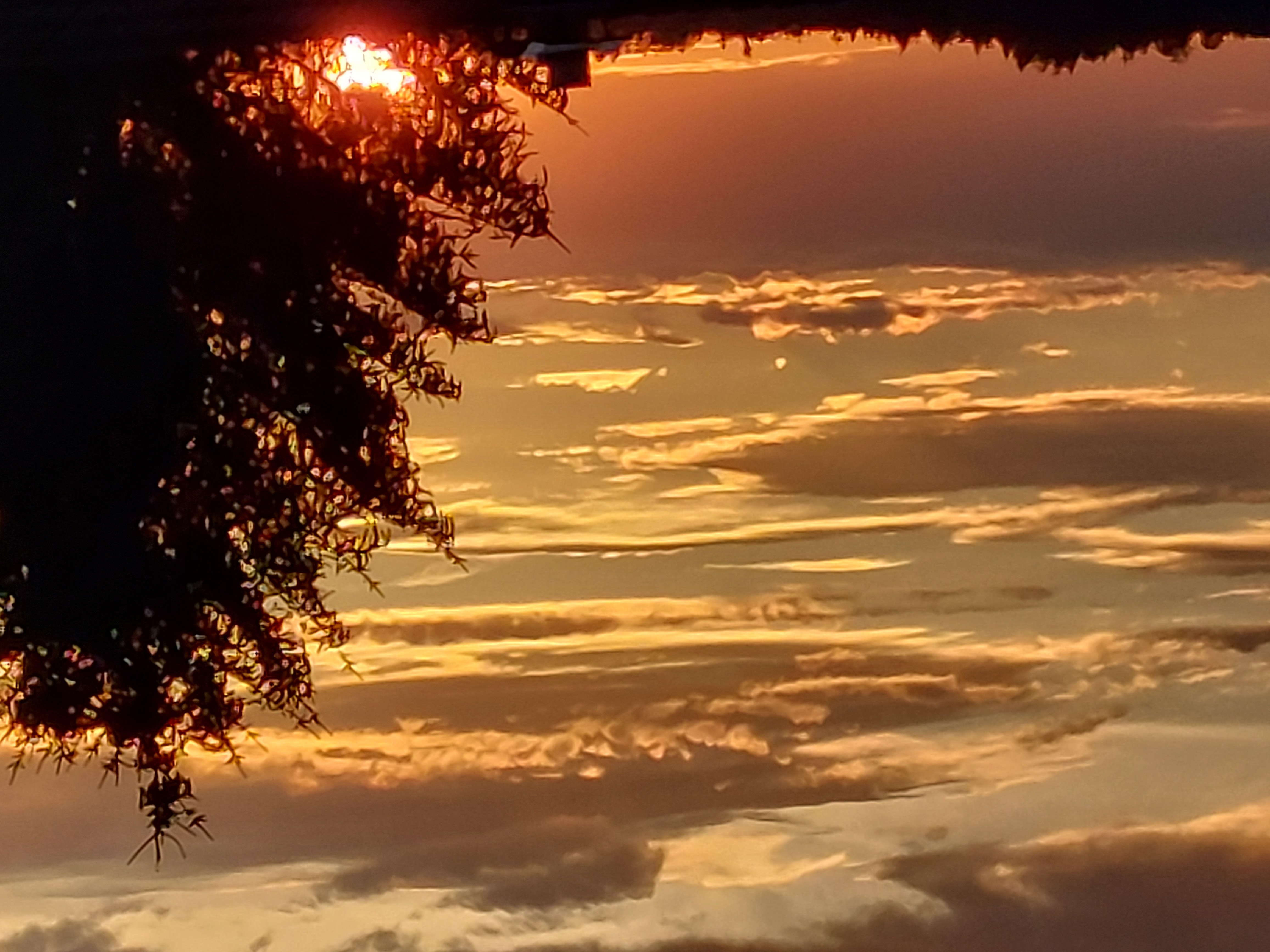 Die Sonne sagt ade und wir wünschen euch einen erholsamen Abend!