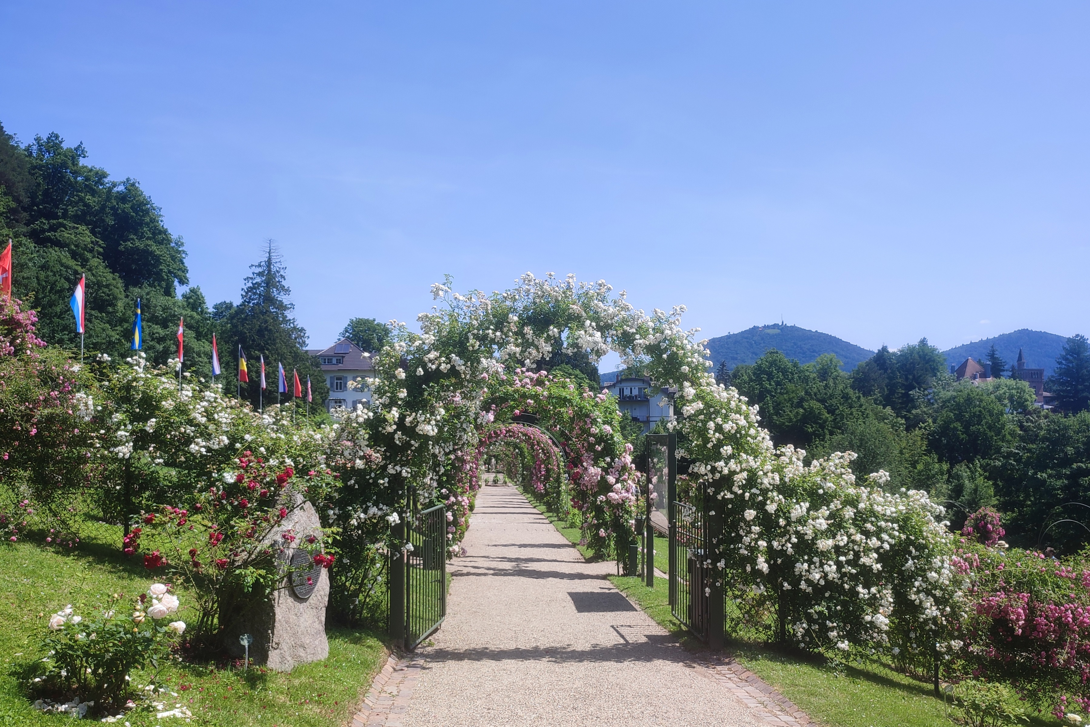Rosenneuheitengarten Baden-Baden Rosenneuheitengarten Beutig in Baden-Baden