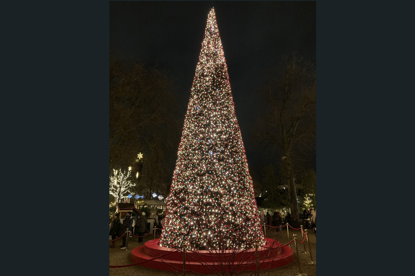 Weihnachtsbaum Festlich geschmückter Weihnachtsbaum