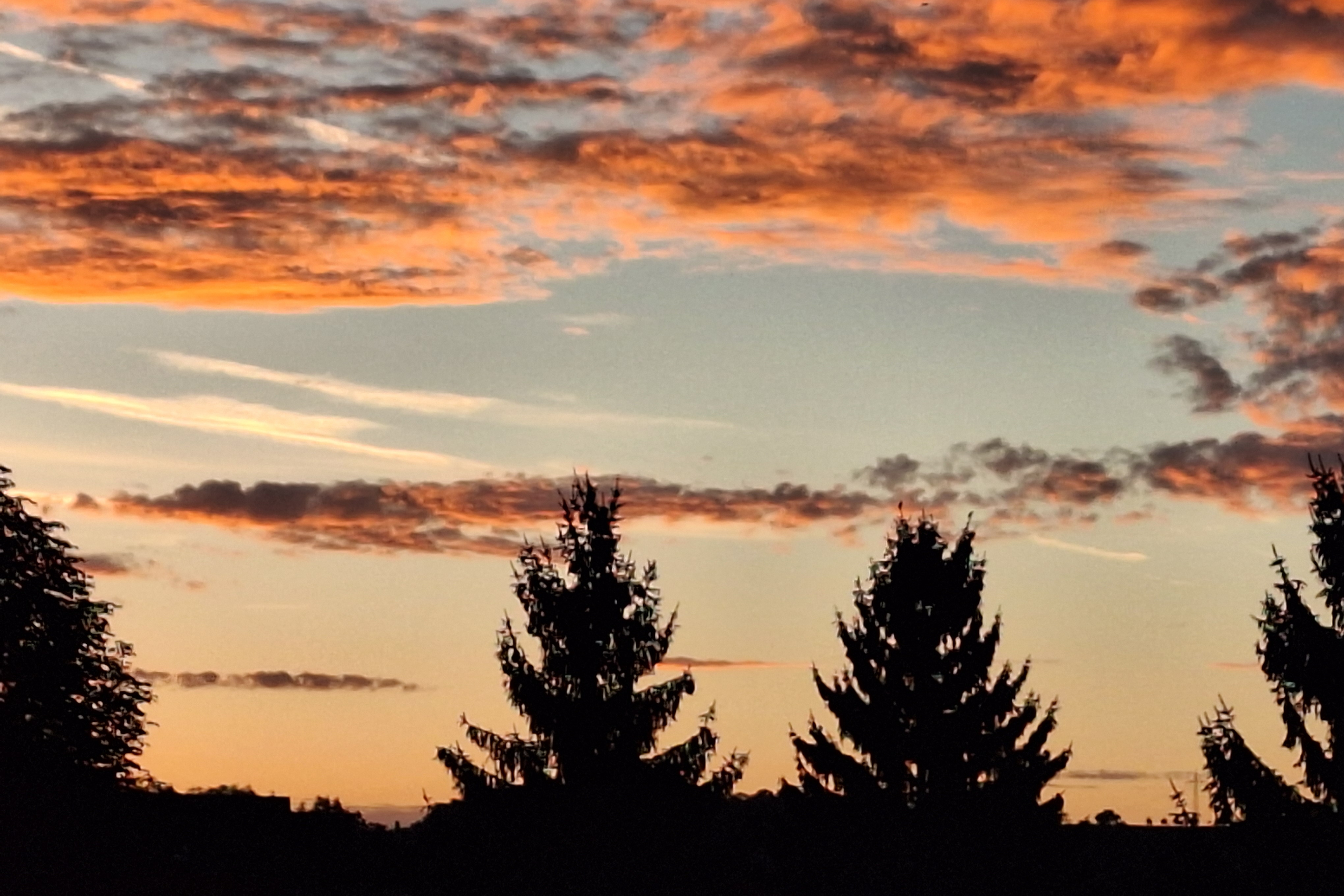 Ein unvergesslich prachtvolles Morgenrot