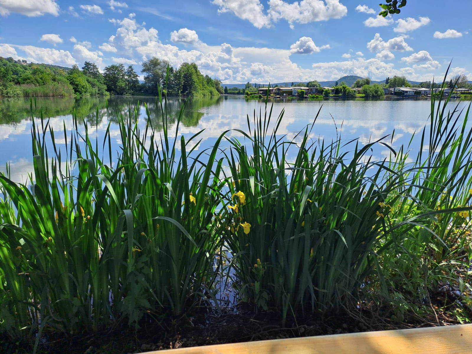 Blick auf den See