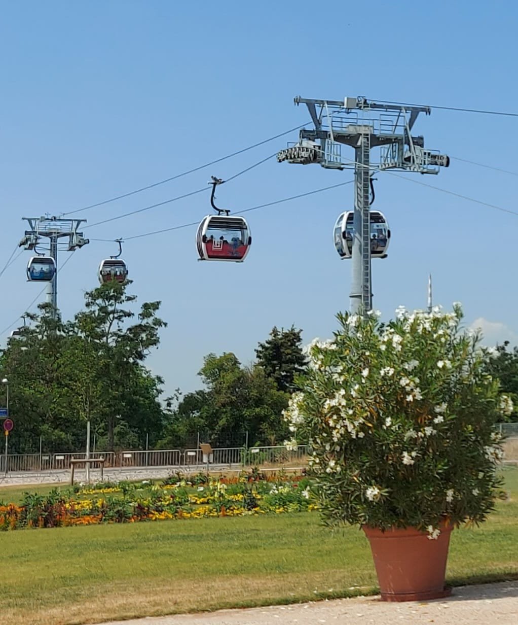 Tagesausflug BUGA 2023 Tagesausflug BUGA 2023